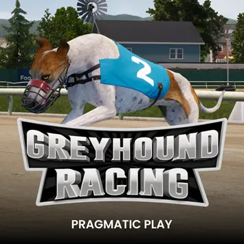 Greyhound Racing